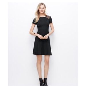 Black Sheer Panel Flare Dress - Ann Taylor